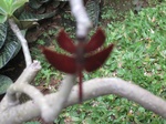 14977IMG_5372.JPG