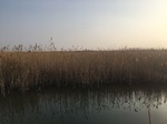 2018-01-08_09-59-31_B768493A-0203-4F4A-BD53-3BFE2993DA44.jpg