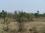 1680501052008(2).JPG