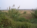 2542 118.jpg