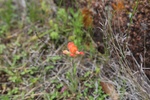 2017-05-11_17-07-09_2017-04-15 11.44.35.jpg