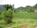 13696IMG_3957.JPG
