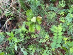 2021-06-01_19-06-13_2021-5-12-9-27-52.jpg