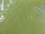 2012-09-21_14-26-15_CIMG0112.JPG