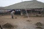 4536IMG_8943.JPG