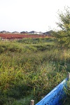 2021-04-15_11-18-41_10_2_20_36thNE_NE.JPG