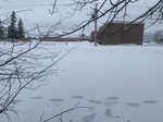 2020-02-21_10-41-40_B87AD409-31DF-4BC2-80A9-5672815F1EE4.jpg