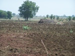 517723042008(25).JPG