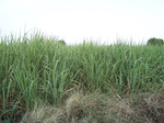 1771322042008(90).JPG