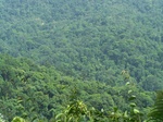 17534100_2795.JPG