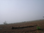 3998RIMG0302.JPG