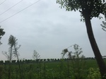 2017-09-10_07-07-14_F6347134-6F79-449B-9EB3-724A85C28574.jpg