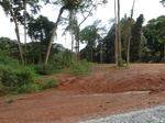 19927P1010777.JPG