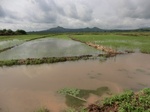 2012-09-07_10-16-18_CIMG6706.JPG