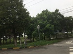 2017-09-10_20-32-33_07096203-5D76-4FA8-BCF7-05C60EC8A270.jpg
