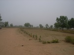 3931RIMG0235.JPG