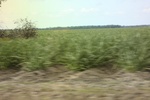 2022-06-11_17-39-24_0E64B273-5323-4E04-B171-C1CEFBD367AA.jpeg