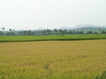 17361100_2047.JPG