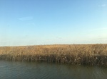2018-01-08_09-58-59_B7D9AFE4-9150-45D9-BEDB-28827C5F65AF.jpg
