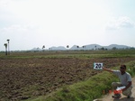 12752020a-irrigated-canal-rice.gif