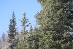 2022-01-19_13-47-06_4E8A1385.JPG