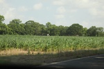2022-06-11_17-48-41_88D40ACF-035C-4B3D-80E4-1851287640E9.jpeg