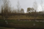 2017-05-12_17-56-36_2017-05-06 02.04.07.jpg