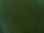 58437CIMG2886.JPG