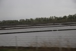 2017-05-12_17-38-14_2017-05-05 19.06.03.jpg
