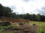 14193IMG_4532.JPG