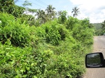 15480IMG_4550.JPG