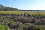 2021-02-02_15-10-20_DSC_0012.JPG