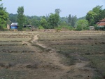 499020042008(2).JPG