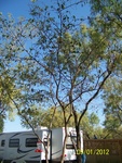 2012-09-28_22-29-16_TX-ER-4-6.JPG
