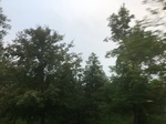 2017-09-12_03-28-18_D3982492-6185-46E5-BA9A-53AE339266C6.jpg