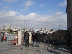 5918DSC05190.JPG