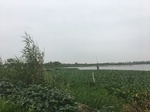 2017-09-10_20-32-19_44DA23E9-A730-444B-B91C-57D3F2A0D8F5.jpg