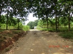 2012-09-26_20-48-09_CIMG0962.JPG