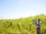6492gt025-cropland-2.jpg