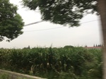 2017-09-12_10-31-26_F274F3F3-74C1-4672-B777-8FE0E43F2BD1.jpg