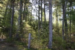 190IMG_4086.JPG