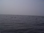 1489R0015194_small.jpg