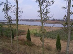 3199R0017233.JPG
