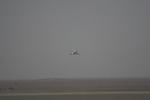 4171IMG_8809.JPG
