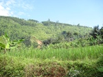 13703IMG_3964.JPG
