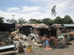 21282DSC00847.JPG