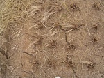 3286R0017320.JPG