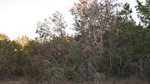 2012-09-23_20-35-41_TX-BRT-25-2.JPG