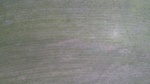 2017-06-12_13-57-39_DJI_0067.jpg