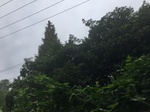 2017-09-10_06-57-50_67DC3937-5AB7-4B19-AA92-2AA4FE27961A.jpg